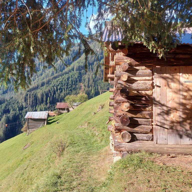 Haus Edelweiss Alpine Chalet near Samnaun - Ferienhaus - 63