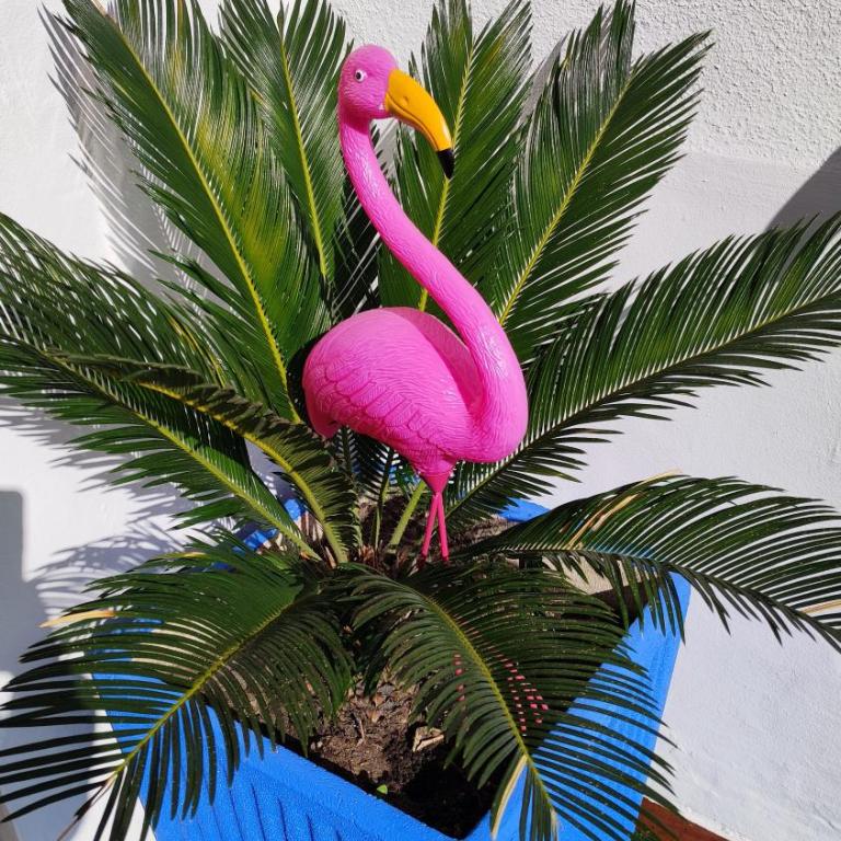 Casa Flamingo House - Casa Vacanze - 7