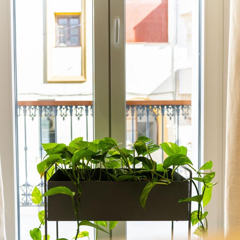 CASA DE LA VEGA SUITES - Suite con balcón - 14