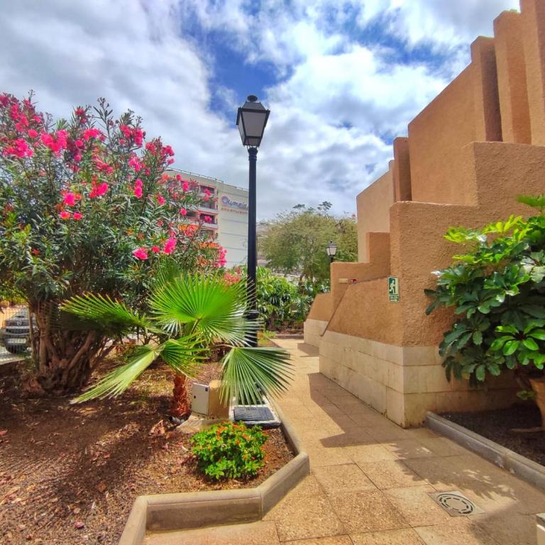 Dreaming Parque De Las Americas - Apartamento de 1 dormitorio - 31