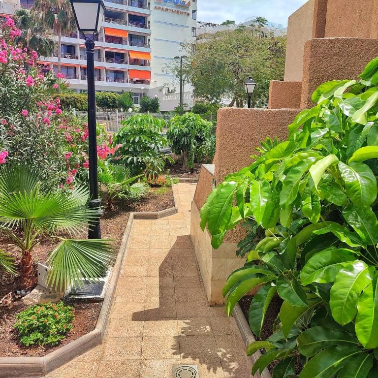 Dreaming Parque De Las Americas - Apartamento de 1 dormitorio - 35