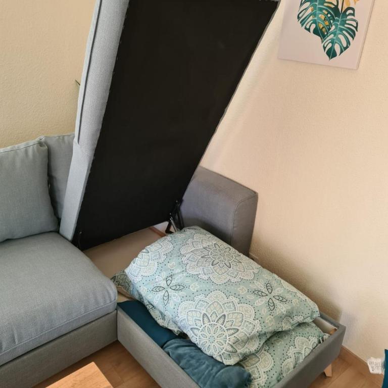 Mulhouse by Hardt - Appartement 2 Chambres - 46