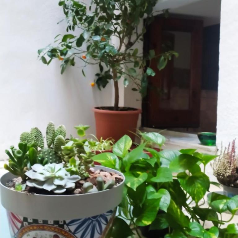 Elegante casa centro terrazzino,Park free Alfycodindia - Appartamento con 2 Camere da Letto - 26