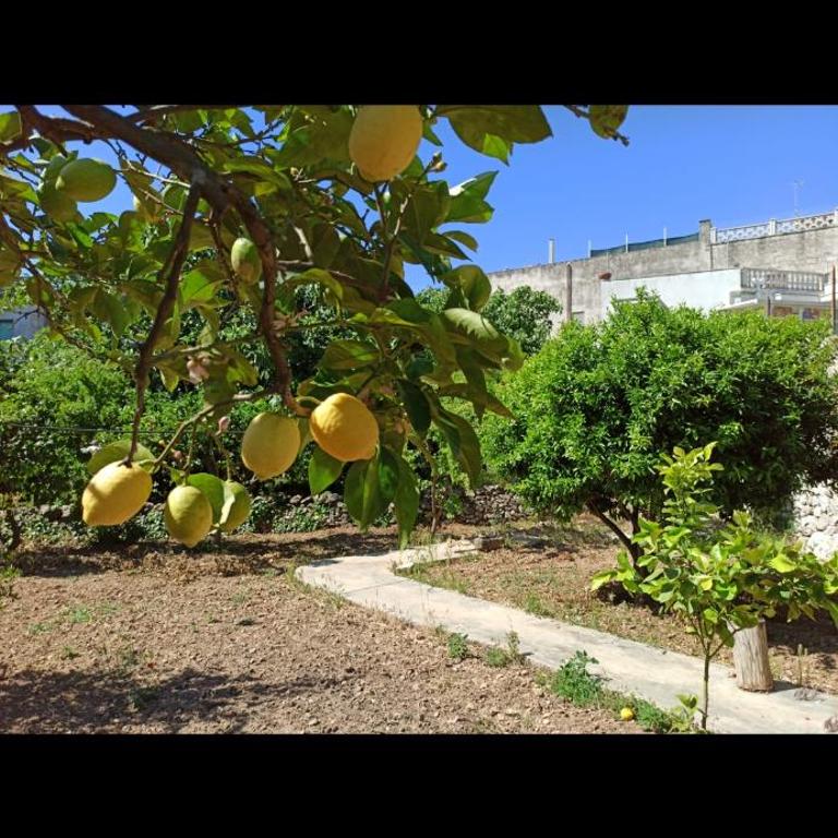B&B L'Antico Ortale - Camera Deluxe - 13