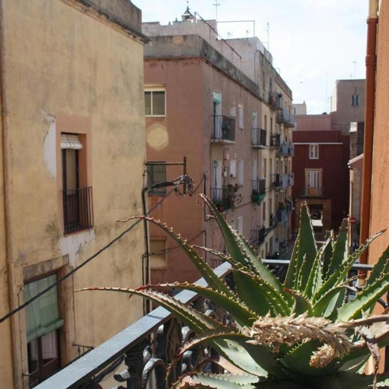 Apartamento de diseño en casco antiguo Tarragona - Apartamento - 16
