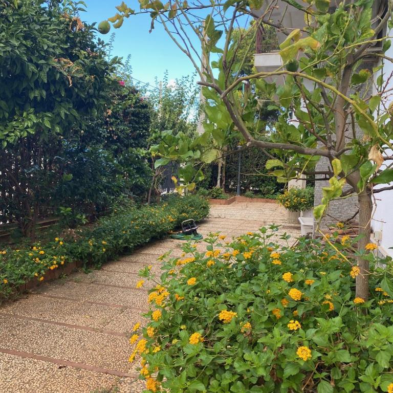 Holiday & House - Imparato Carini Costa Verde - Appartamento con giardino privato - porzione di Villa residenziale a pochi passi dal mare - One-Bedroom Apartment with Garden View - 11