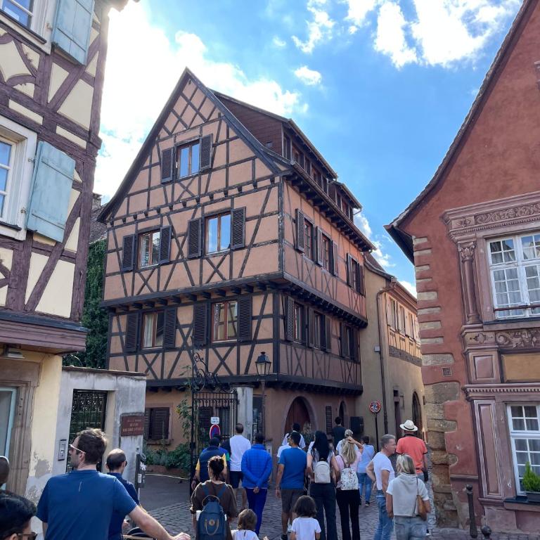 Rive Petite Venise Appartement Luxe - Centre Ville Colmar - Clim, Ascenseur & possibilité Parking - Appartamento Superior - 4