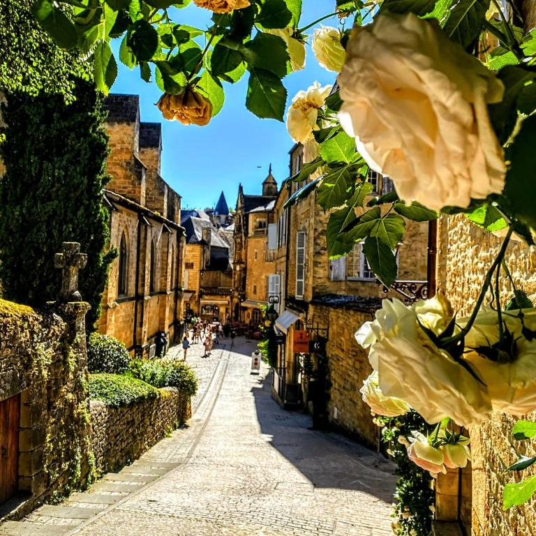 Centrally Located Sarlat Apartment with Medieval Town Views - Appartement - 13
