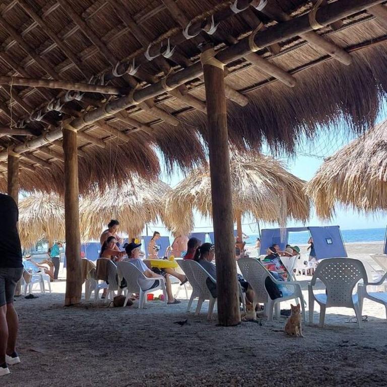 Reserva del mar loft vista mare - Apartamento de 1 dormitorio - 55