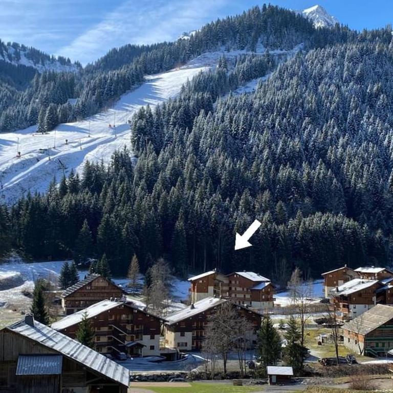Cocon à chatel - Studio - Vue sur Montagne - 1