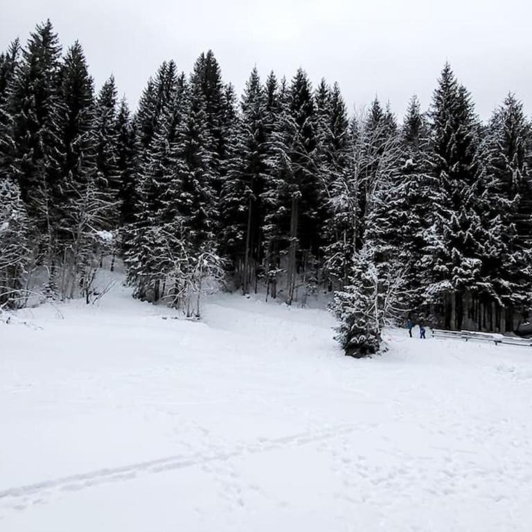 Cocon à chatel - Studio - Vue sur Montagne - 4