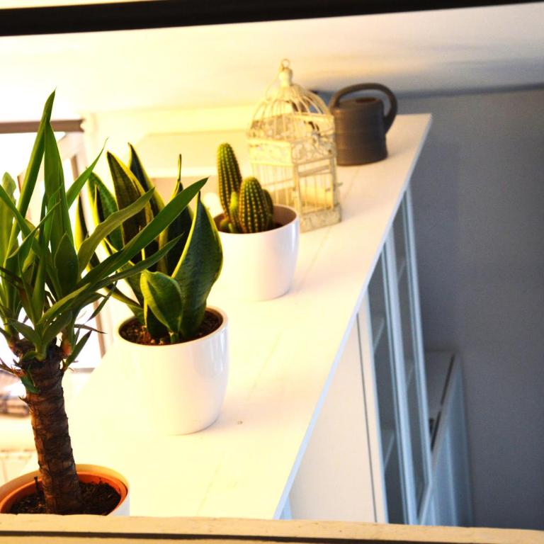 La petite maison de Claire - Two-Bedroom Apartment - 9