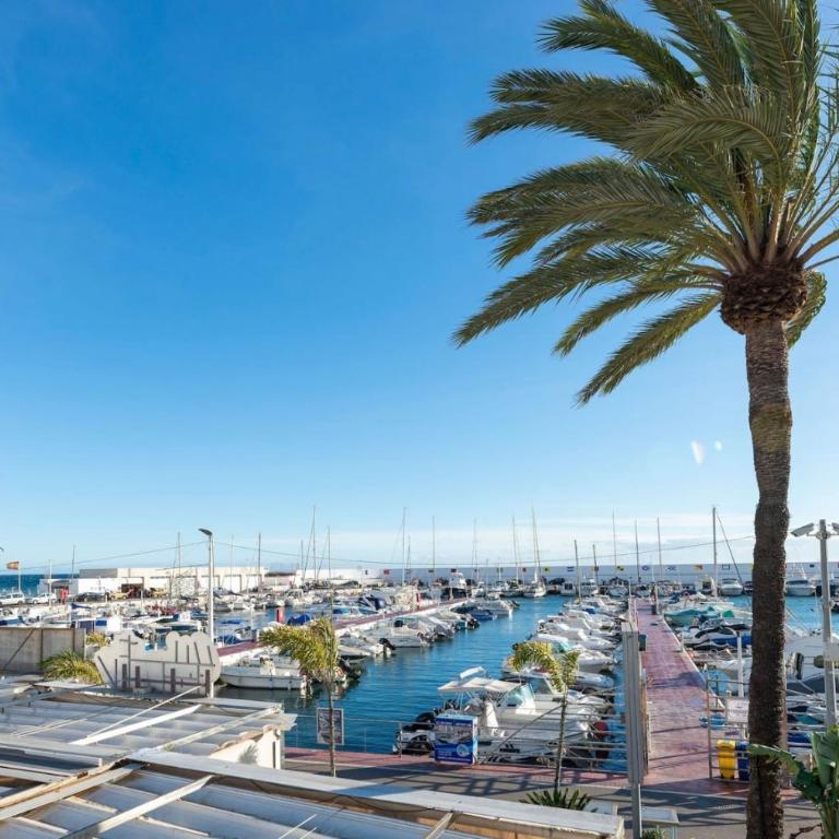 Appartement en front de mer - Estudio - 5
