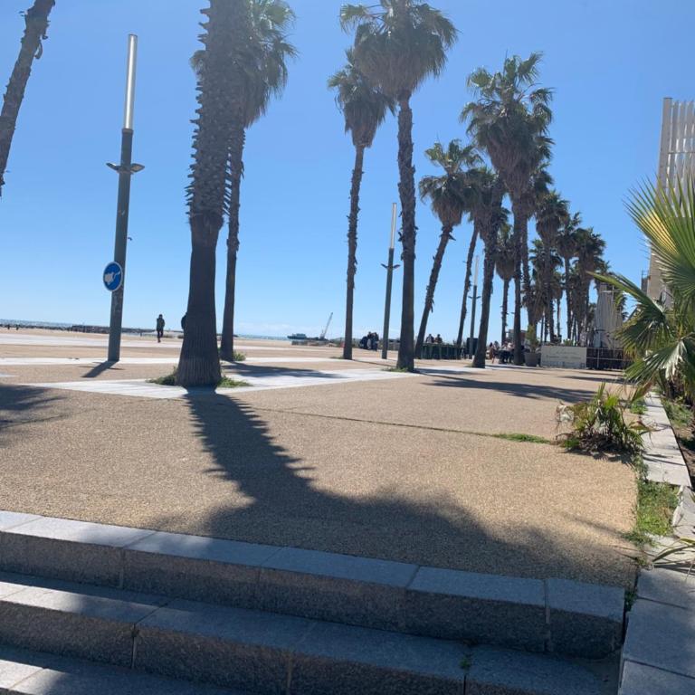 App T2 climatisé , plage 200 m - Apartment mit 1 Schlafzimmer - 19