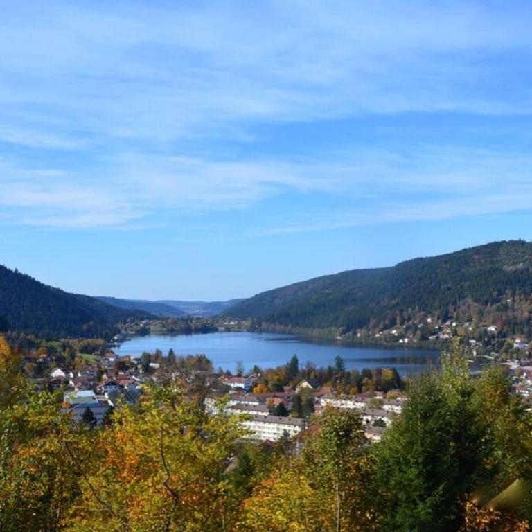 Chalet l'OURSON à Gérardmer, vue imprenable lac - Chalet 3 Chambres - 14