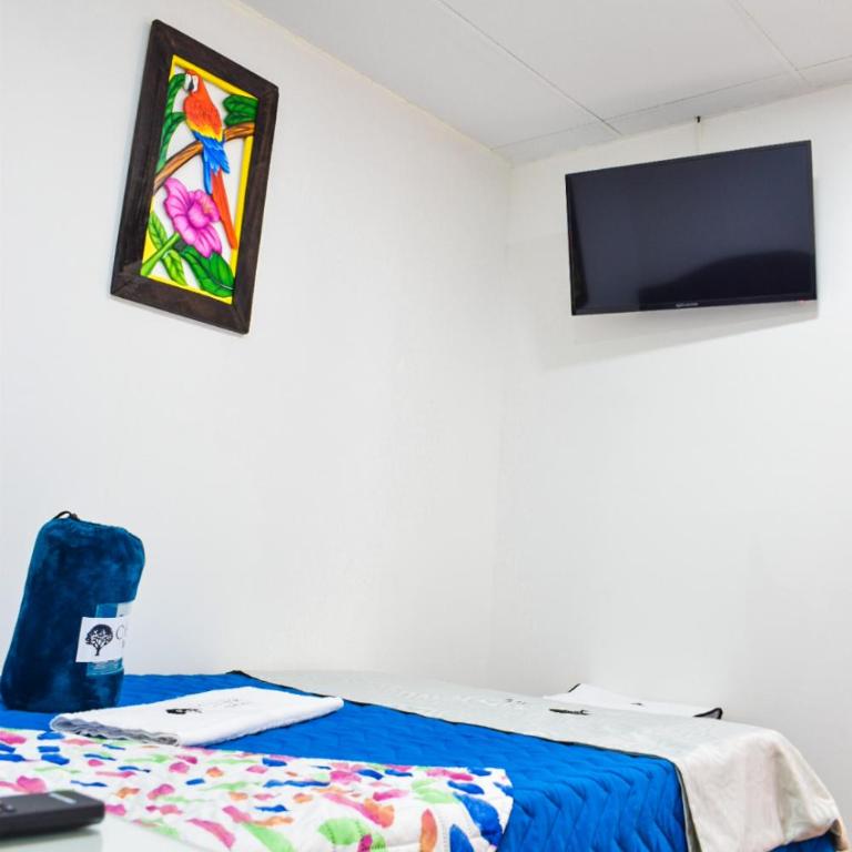 Ayenda Ceiba Rooms - Habitación Individual Amplia - 8