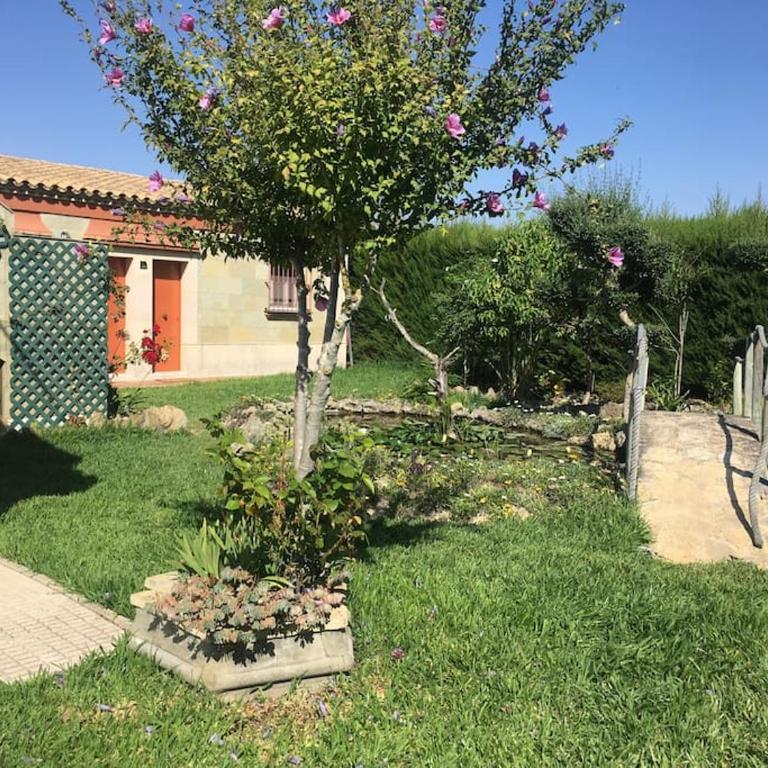 Tranquil apartment in Chiclana La Barrosa - One-Bedroom Apartment - 1