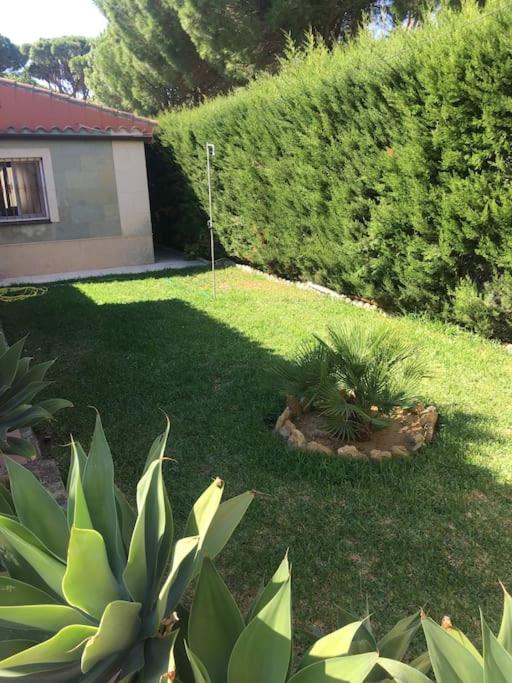 Tranquil apartment in Chiclana La Barrosa - One-Bedroom Apartment - 9