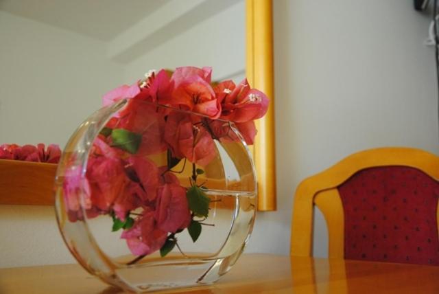 Apartments Villa Kukoljac - Apartment für 4-7 Personen - 1