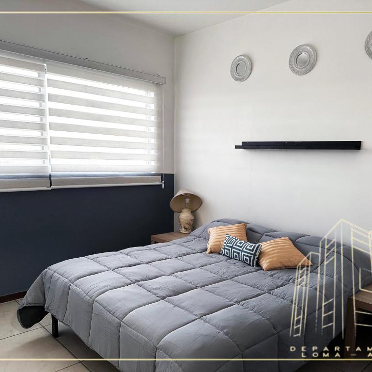Departamento Loma-Alta - Apartamento de 2 dormitorios - 6