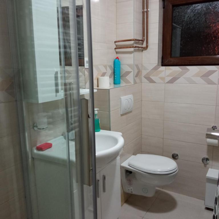 Apartments Vuković - Apartman sa 2 Spavaće Sobe i Terasom - 3