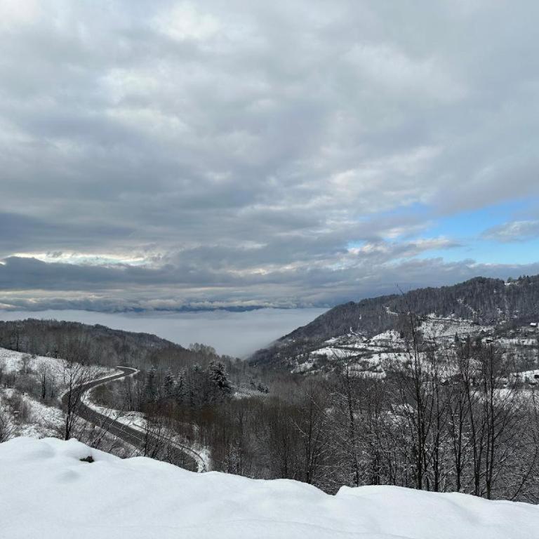 Milmari Apartments & SPA - N Lux 108 - One-Bedroom Apartment - 62