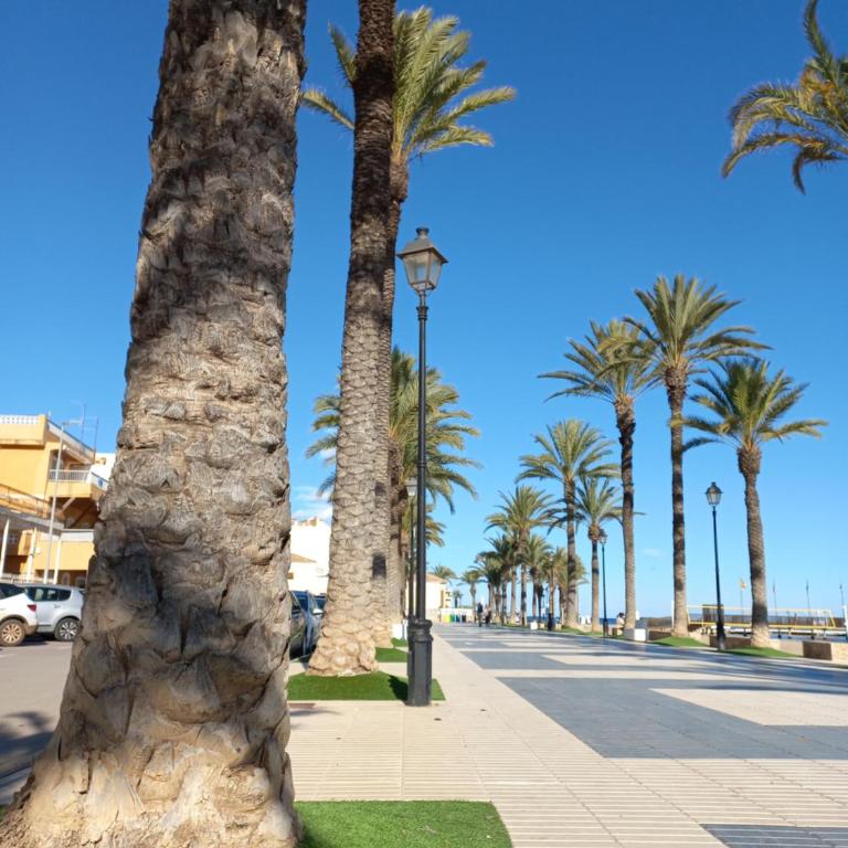 Apartament SOL & MAR - 100m from the beach - Apartment with Sea View - 16