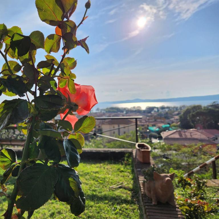 Agriturismo Le Vigne - Camera Matrimoniale con Vista Lago - 18