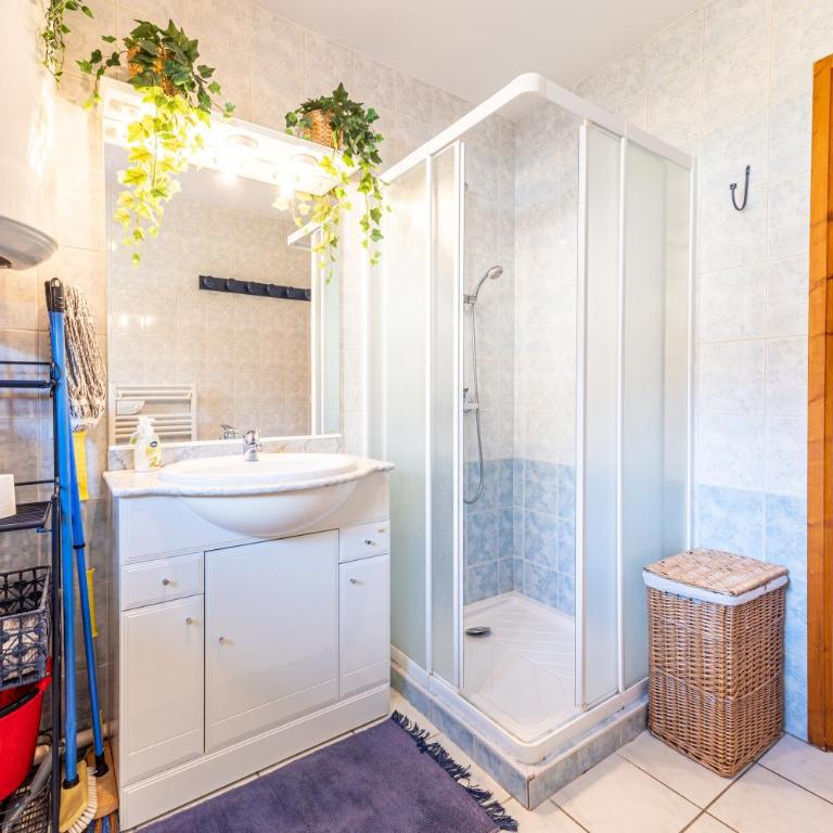 Le Chatellard - Proche Piste de Ski - Appartement 1 Chambre - 5