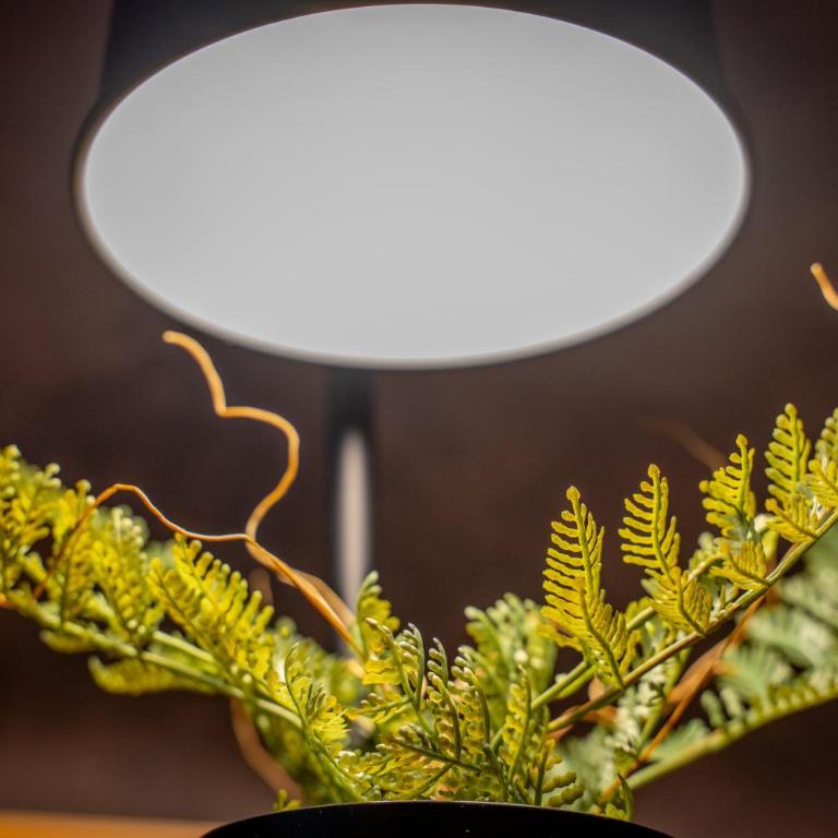 VYLD: Bad Hindelang inmitten der Berge - Apartment mit 1 Schlafzimmer - 8