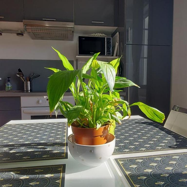 Les Suites Angevines - Appartement 2 Chambres - 5