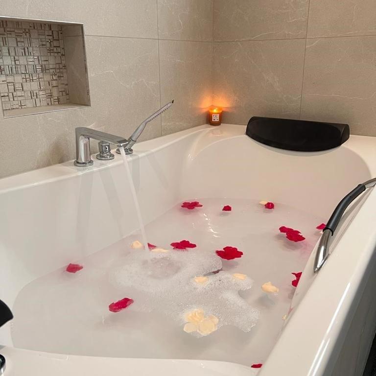Le gite des 3 mousquetaires - Deluxe Apartment - 1