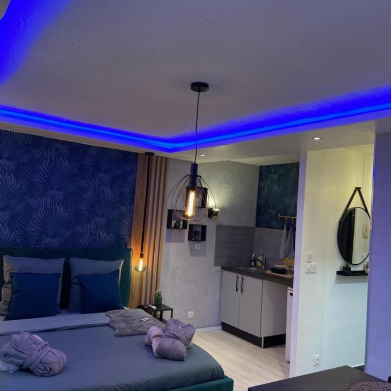Appartement La Splenzia SPA Jacuzzi wifi clim - One-Bedroom Apartment - 17