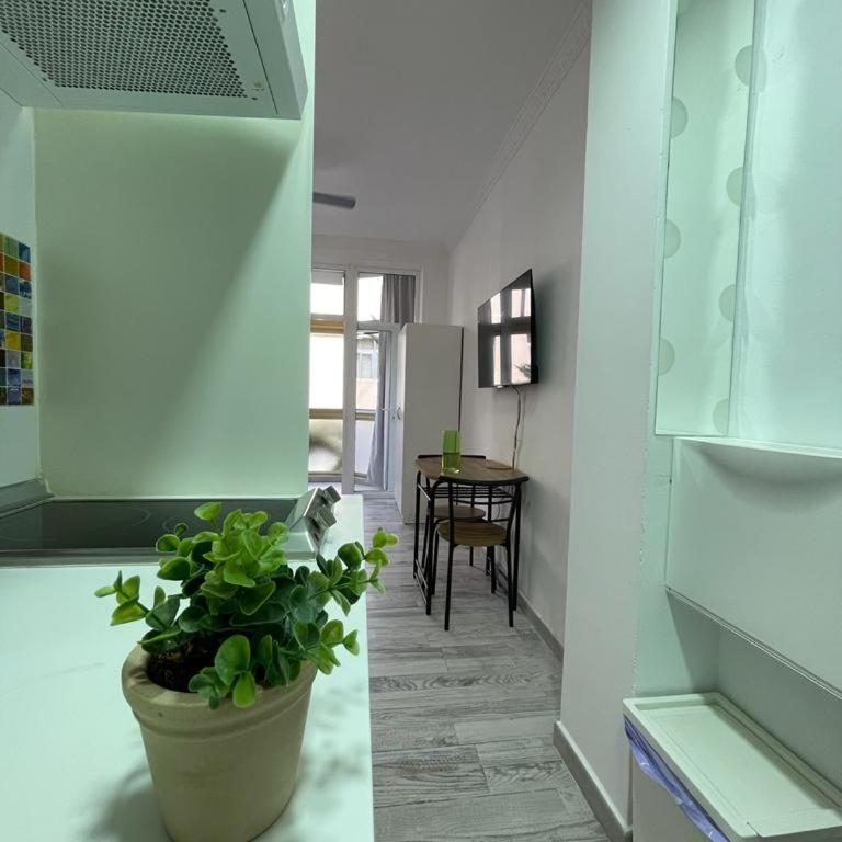 PALMERAS 102 - Apartamento de 1 dormitorio - 2