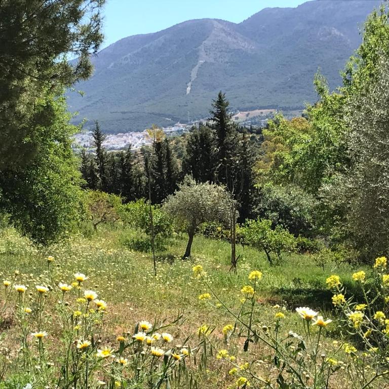 Studio Views Apartment, Cortijo Fruitful Hills - Apartamento de 1 dormitorio - 13