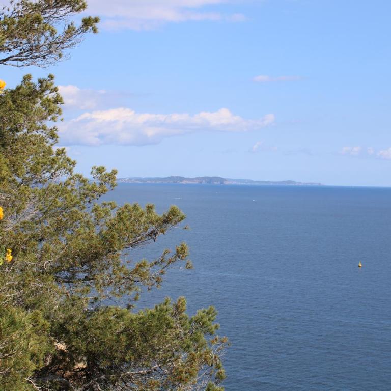Studio l'Echappée mandréenne le calme entre mer et forêt - Appartamento - 29