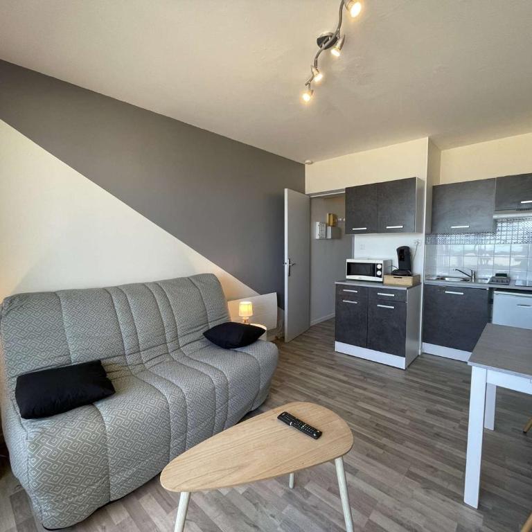 Studio rénové, 2 couchages, mer, commerces, 6e étage, TV, balcon, animaux admis - FR-1-224C-138 - Appartement (2 Adultes) - 6