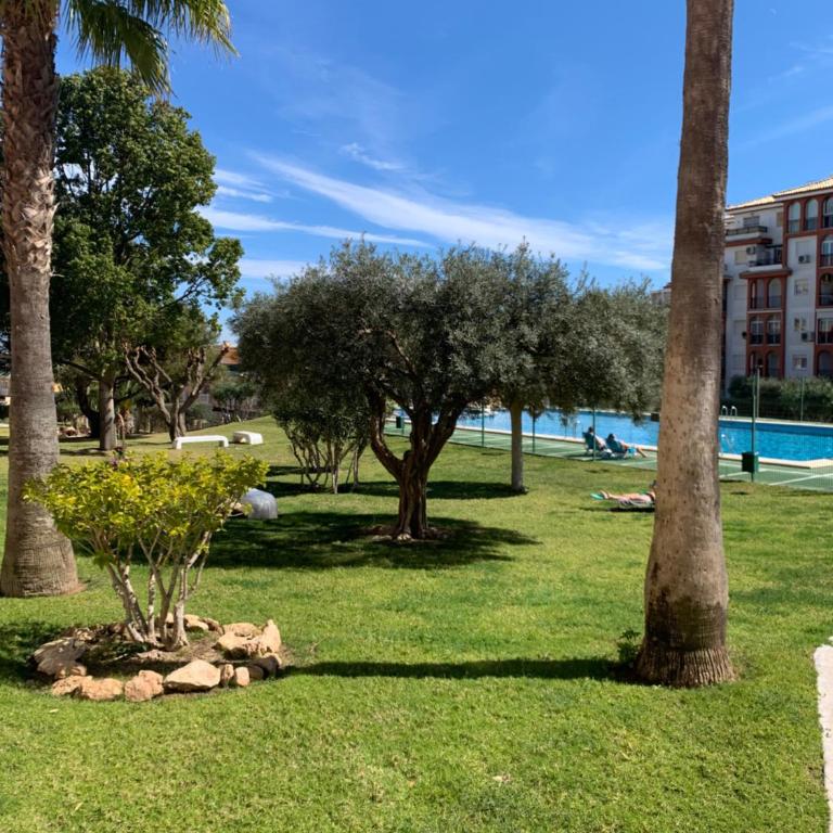 Sunny apartment with 2 terraces - Apartamento de 1 dormitorio - 18
