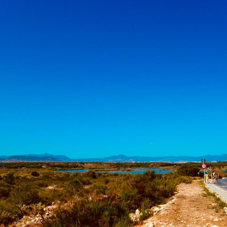 Refugio de Tranquilidad en Gran Alacant - Three-Bedroom House - 28