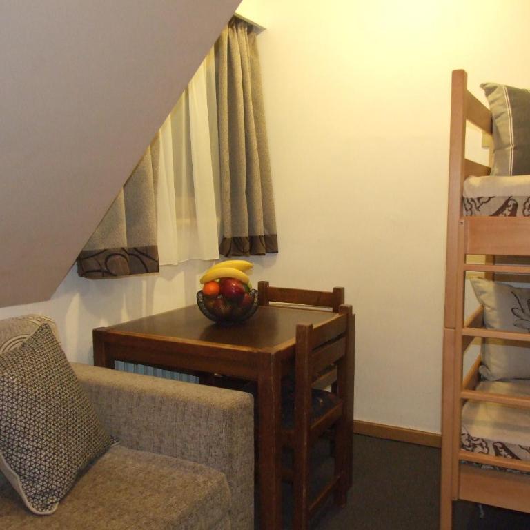 Apartmani Kopaonik Centar Maglic - Studio Apartment - 9