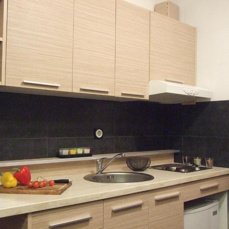 Apartmani Kopaonik Centar Maglic - Studio Apartment - 6