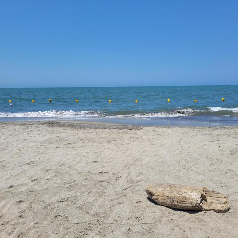 Apartamento duplex frente al mar con playa privada - Apartamento de 3 dormitorios - 33