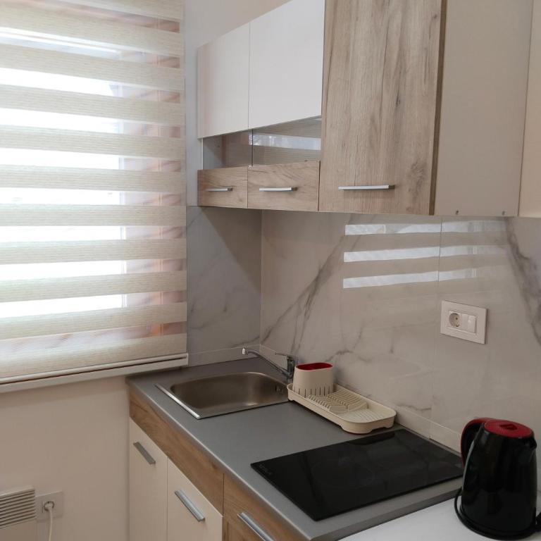 Slavkomana Pino Silvestre - Apartman sa 1 Spavaćom Sobom - 7