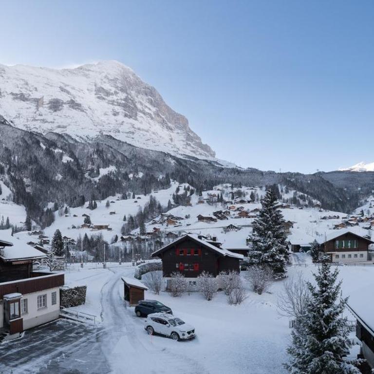 The Blue Ice Apartment - GRINDELHOMES - Apartamento con vistas a las montañas - 26