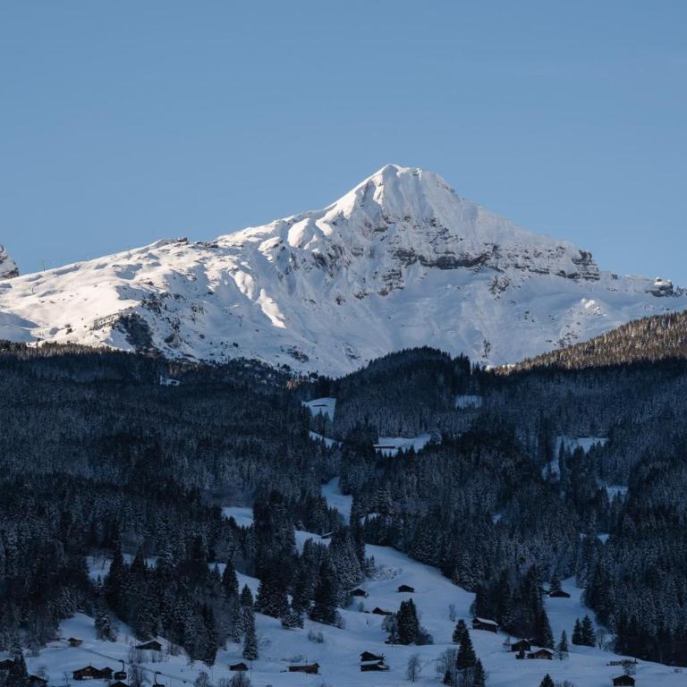 The Blue Ice Apartment - GRINDELHOMES - Apartamento con vistas a las montañas - 24