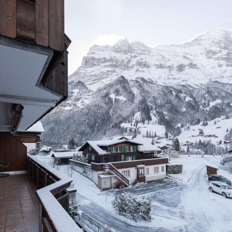 The Blue Ice Apartment - GRINDELHOMES - Apartamento con vistas a las montañas - 28
