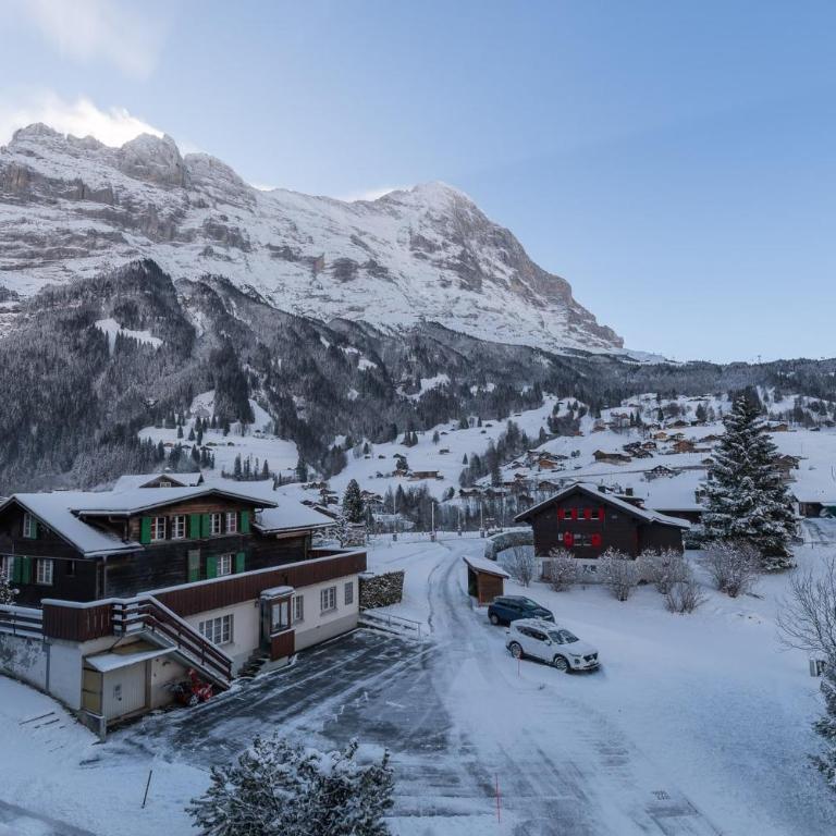 The Blue Ice Apartment - GRINDELHOMES - Apartamento con vistas a las montañas - 27