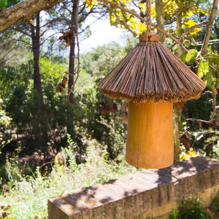 Catalunya Casas: Spacious Villa Vera up to 24 guests, a short drive to Blanes! - Villa con piscina privada - 26