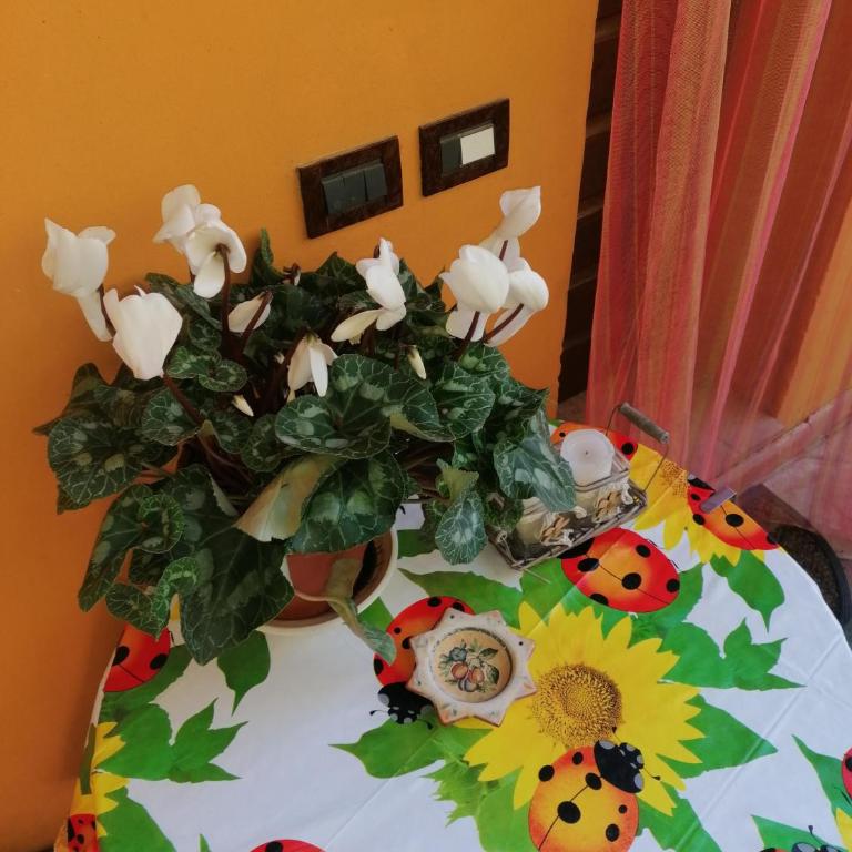 Poggio delle Capre - Camera Matrimoniale con Bagno Privato - 5
