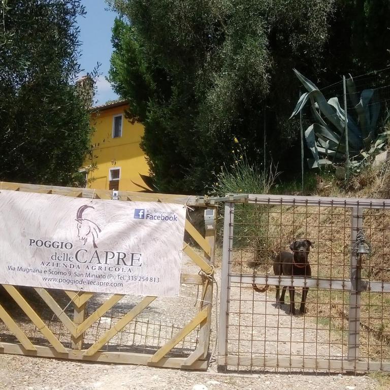 Poggio delle Capre - Camera Matrimoniale con Bagno Privato - 7